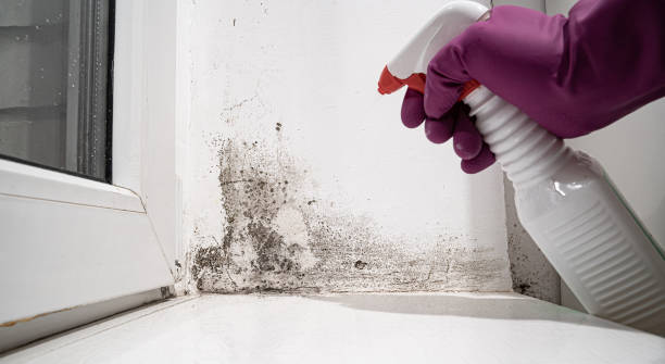 Best Carpet water damage restoration  in Pocono Woodland Lakes, PA